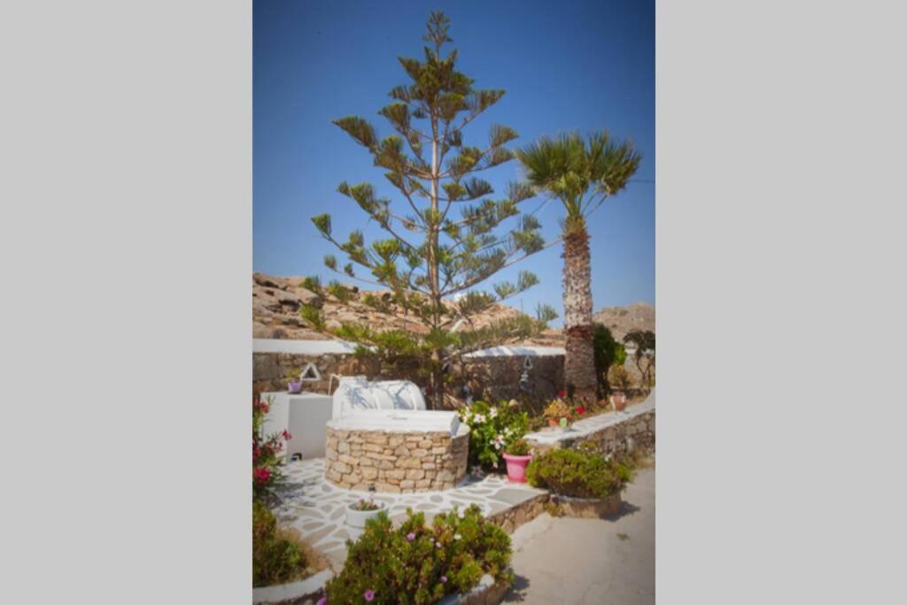 White Dreams Studio Mykonos Town Dış mekan fotoğraf